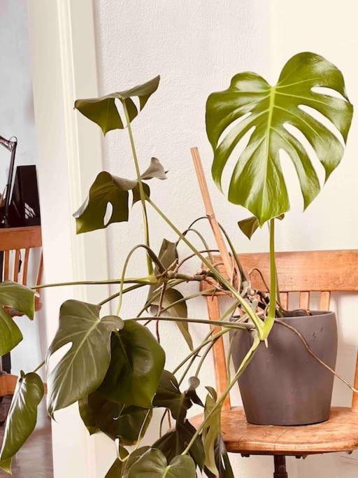 Luxus Loft Im Herzen Von Bochum Werne. Bagian luar foto